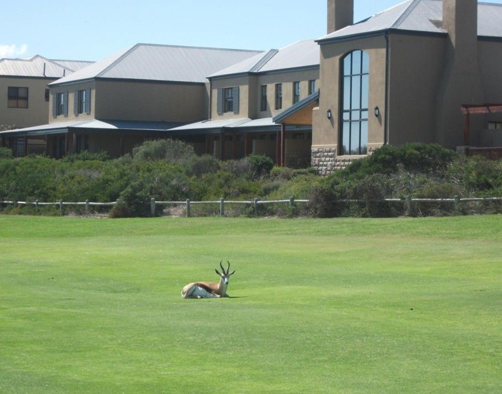The Lodge At Atlantic Beach Melkbosstrand Buitenkant foto